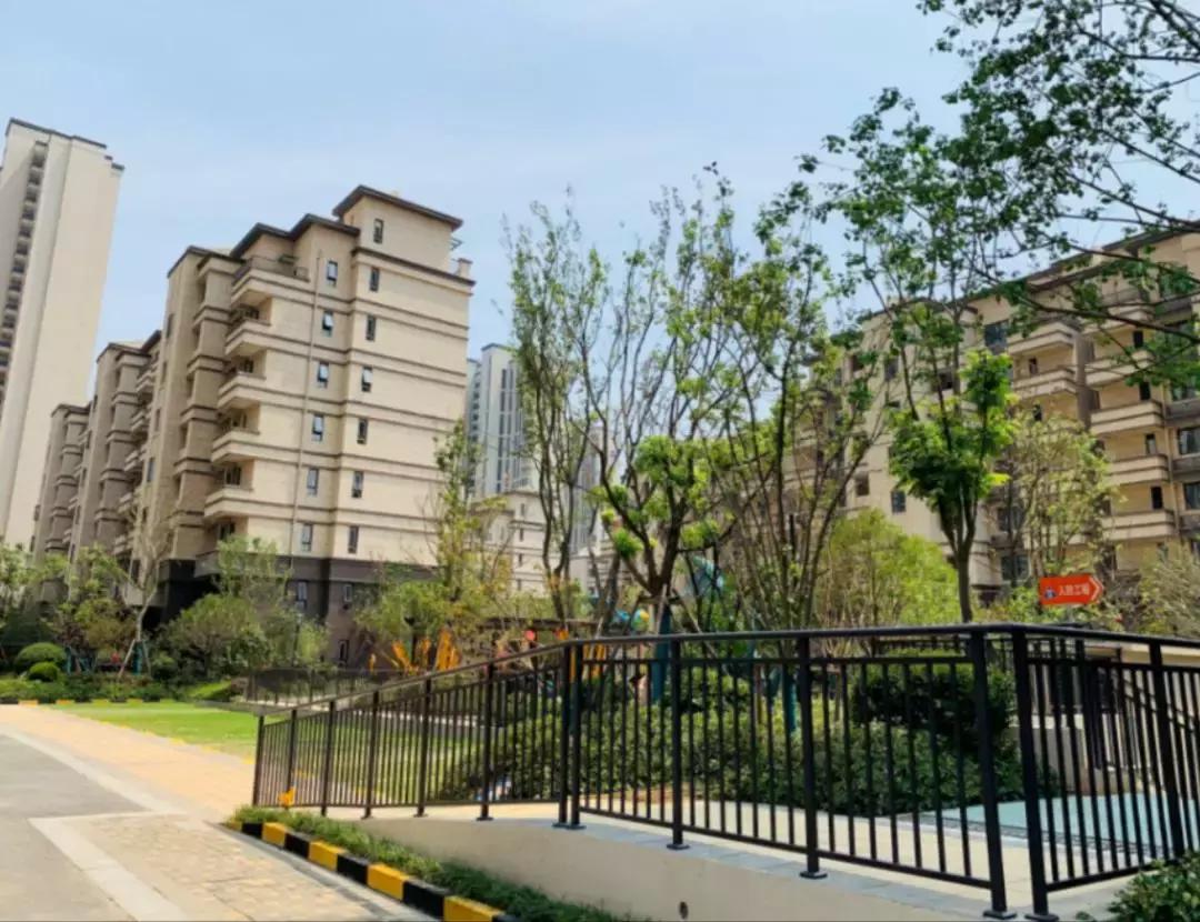 三人成虎感受到了什么,三人成虎口碑