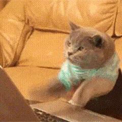 鼠标垫加薪,wordexcelcad快捷键鼠标垫