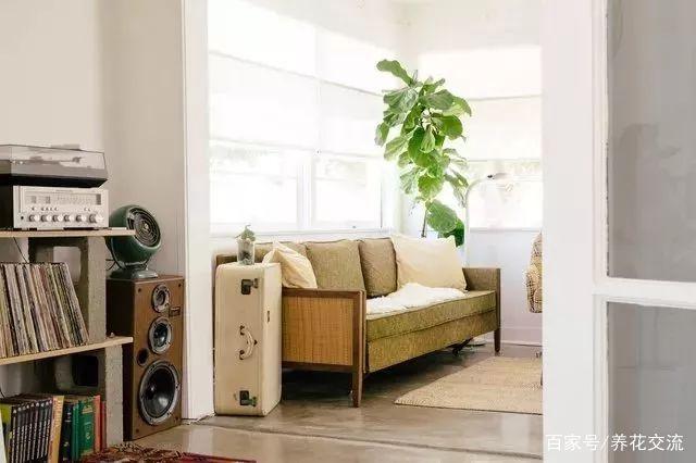 养花可以愉悦身心,养花能让人心旷神怡