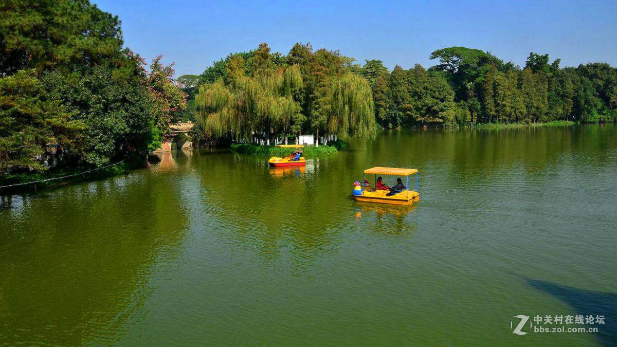 顺景酒店的花园客房,顺景酒店宴会中心