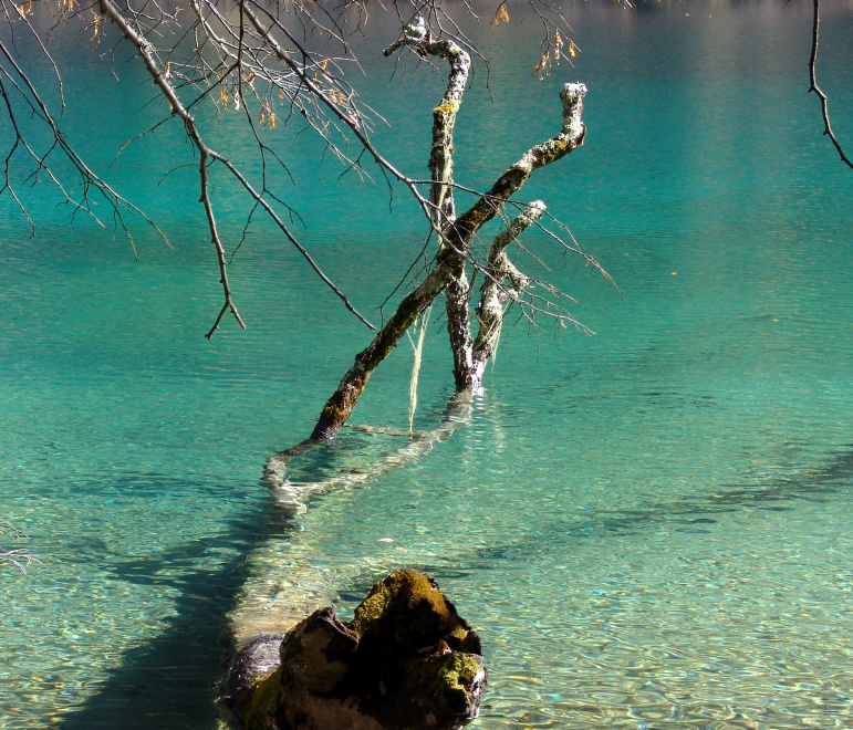 怼人的古诗句子幽默,教你用古诗词优雅地怼人