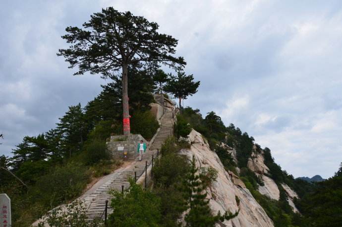 山西一县,山西省一县