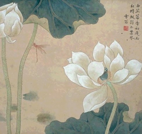 陈之佛工笔花鸟画技法解析,陈之佛花鸟画教程视频