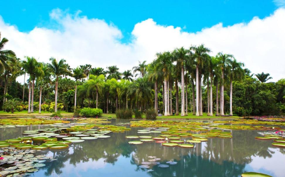 云南旅游游记彩云之南,云南旅游好去处彩云之南