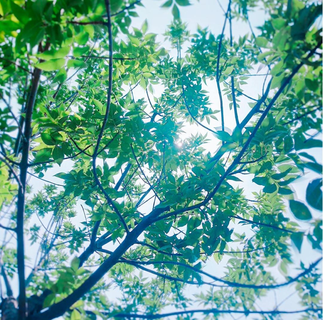 表达夏天热的诗句,古诗中描写天气很热的诗句