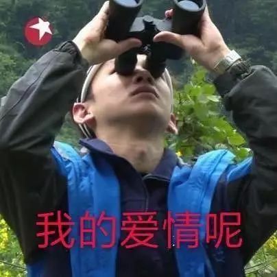 老了以后的白敬亭,白敬亭奶蓝小白鞋