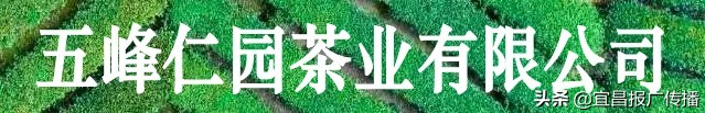 助茶农渡难关，宜昌春茶“百圆惠”上市