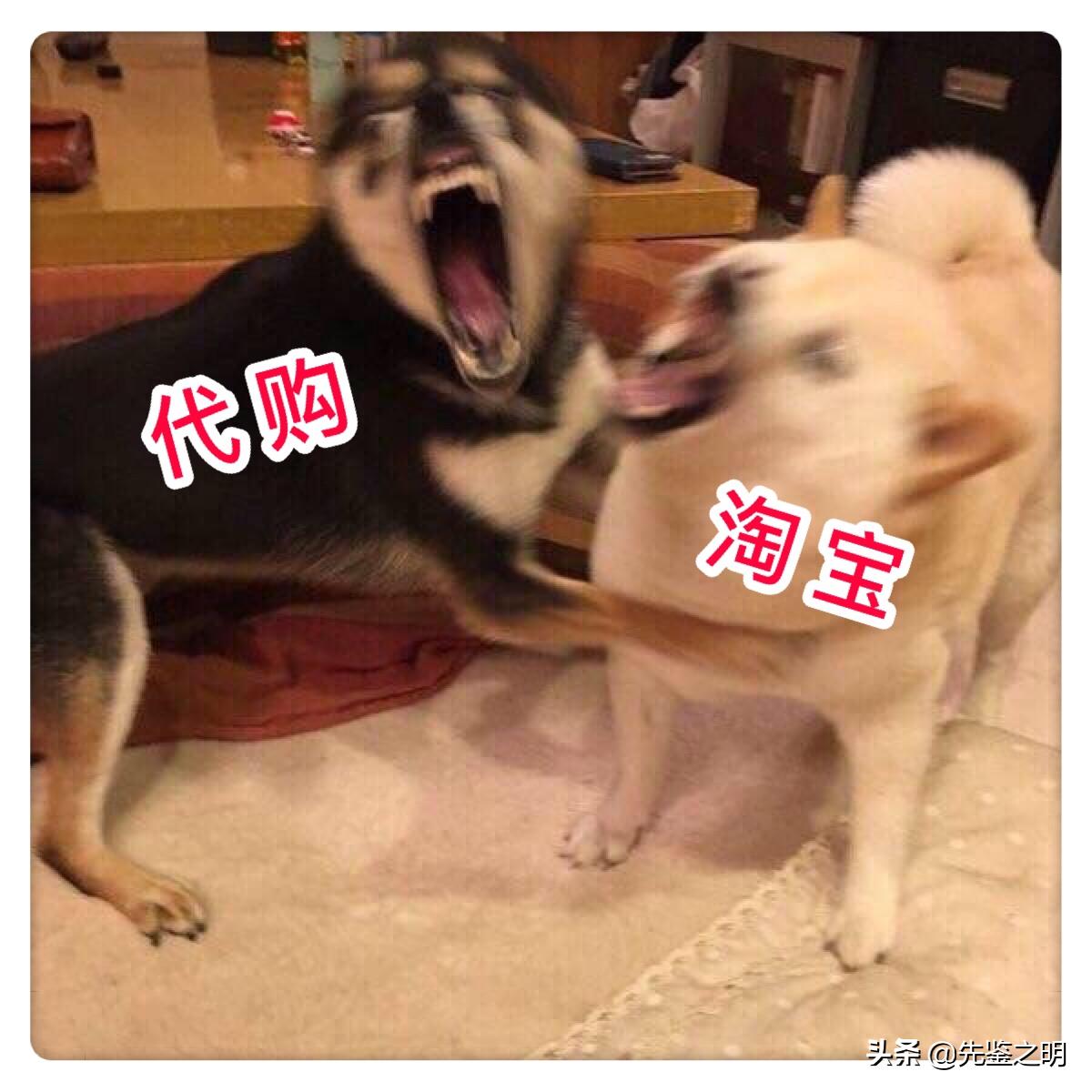 被骗多次再也不会相信任何人,被骗了好几次了再也不相信