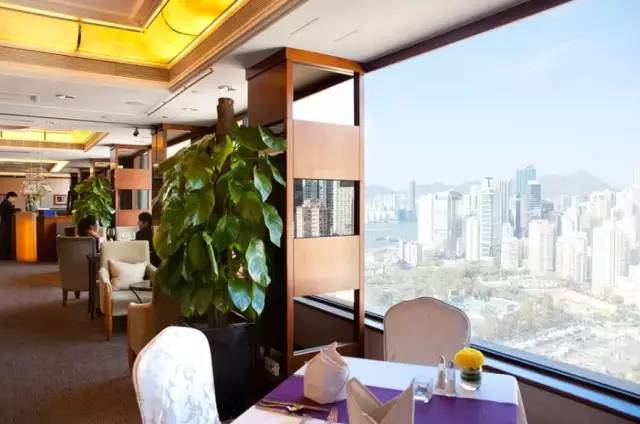 香港网红酒店,香港3天2夜酒店推荐