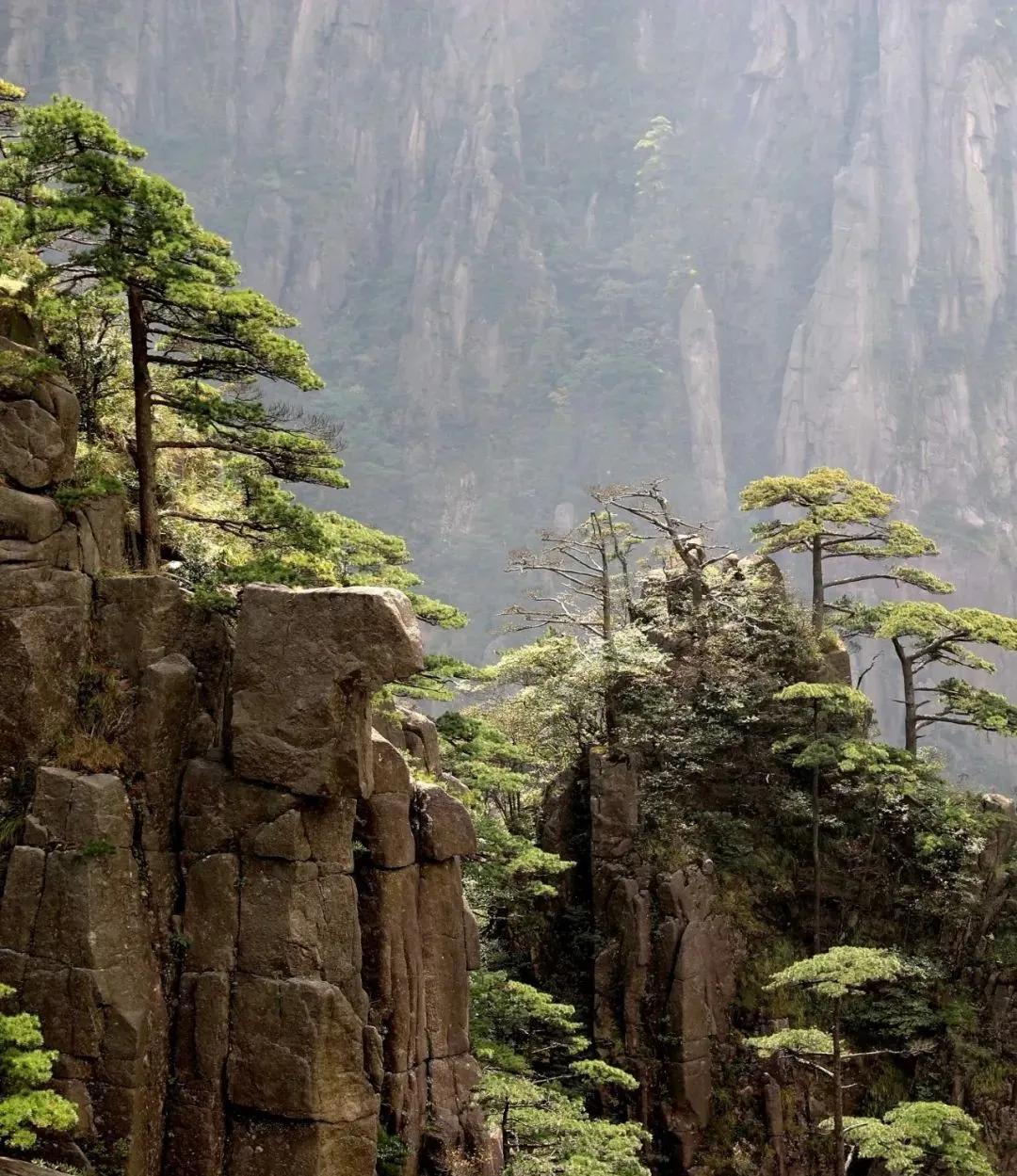 六月，来黄山寻找属于你的快乐星球！