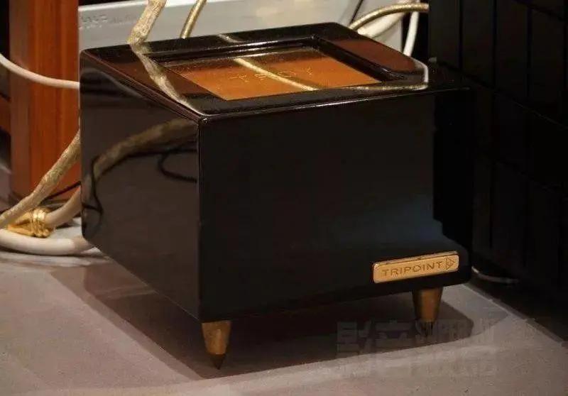 这只“火鸟”是白色的,CessaroFirebird扬声器