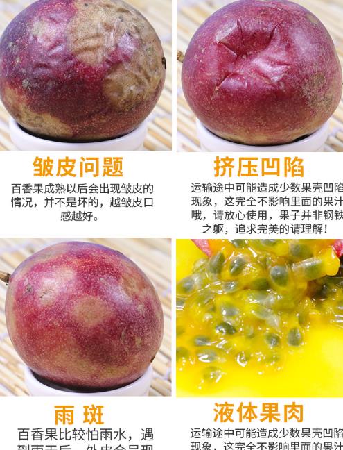 野生山竹为什么叫水果皇后,水果皇后山竹长什么样