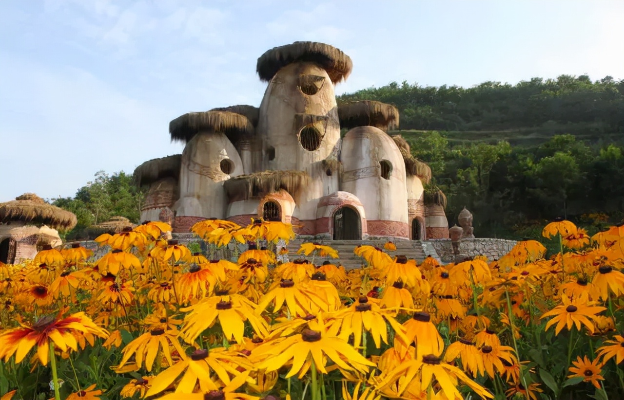 休闲农业公司盈利模式研究现状,生态农业创业项目分析