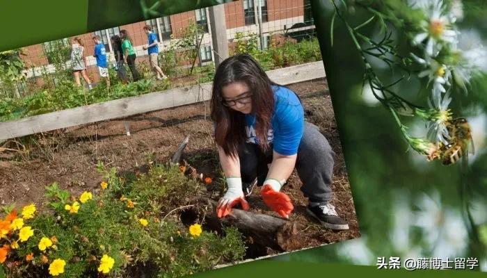 你需要了解的智能家居技术新趋势,国家发布的十大新兴专业