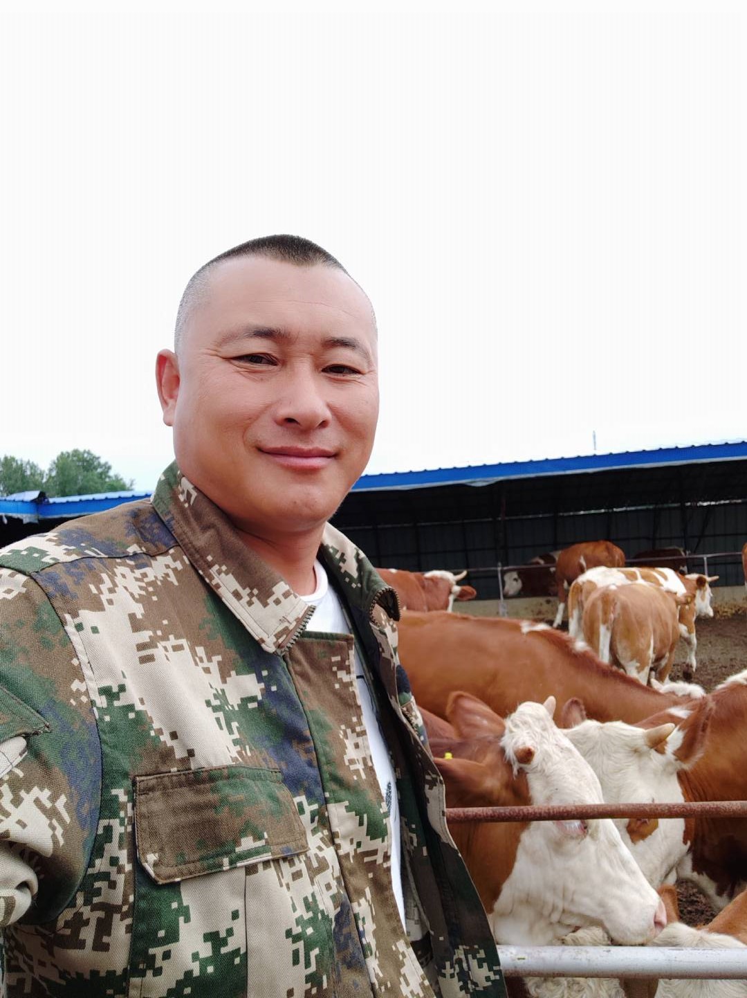 养牛到底能不能养活,养牛的利润与成本真实比较