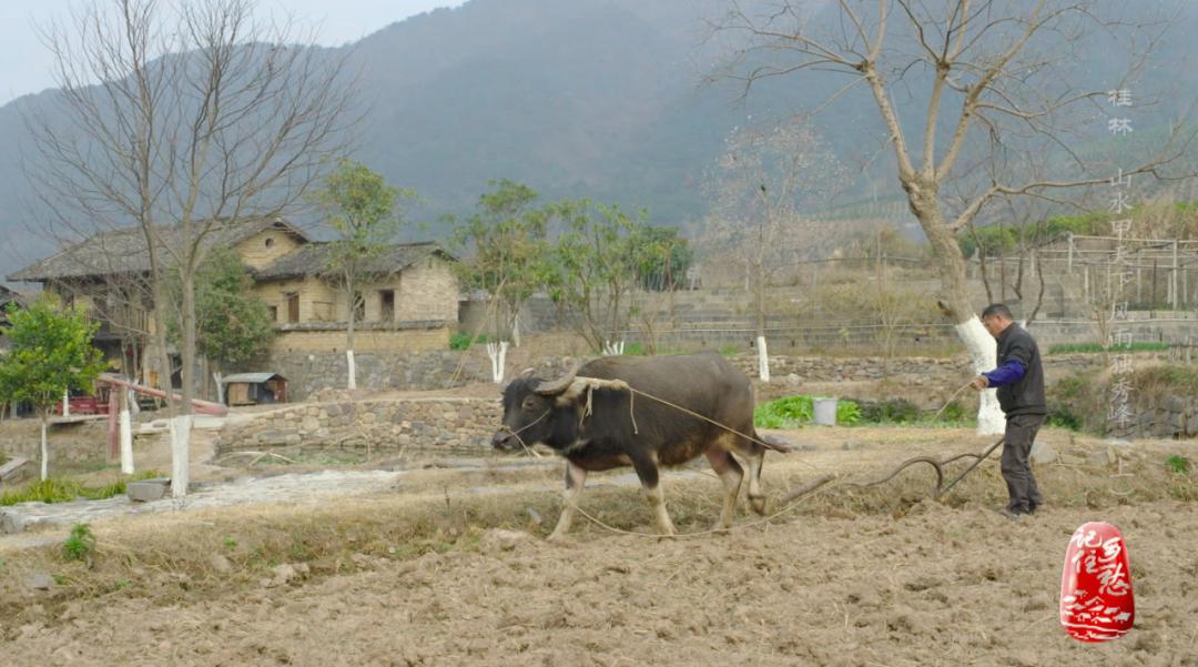 桂林山水古诗的诗意,桂林山水意境诗词