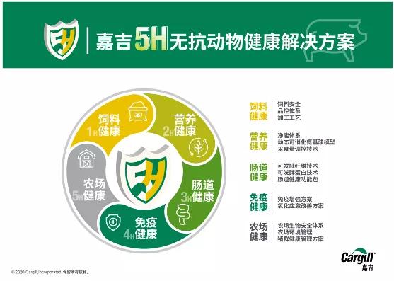 树立创新氛围，把握创新方向，嘉吉谈创新始终聚焦客户价值