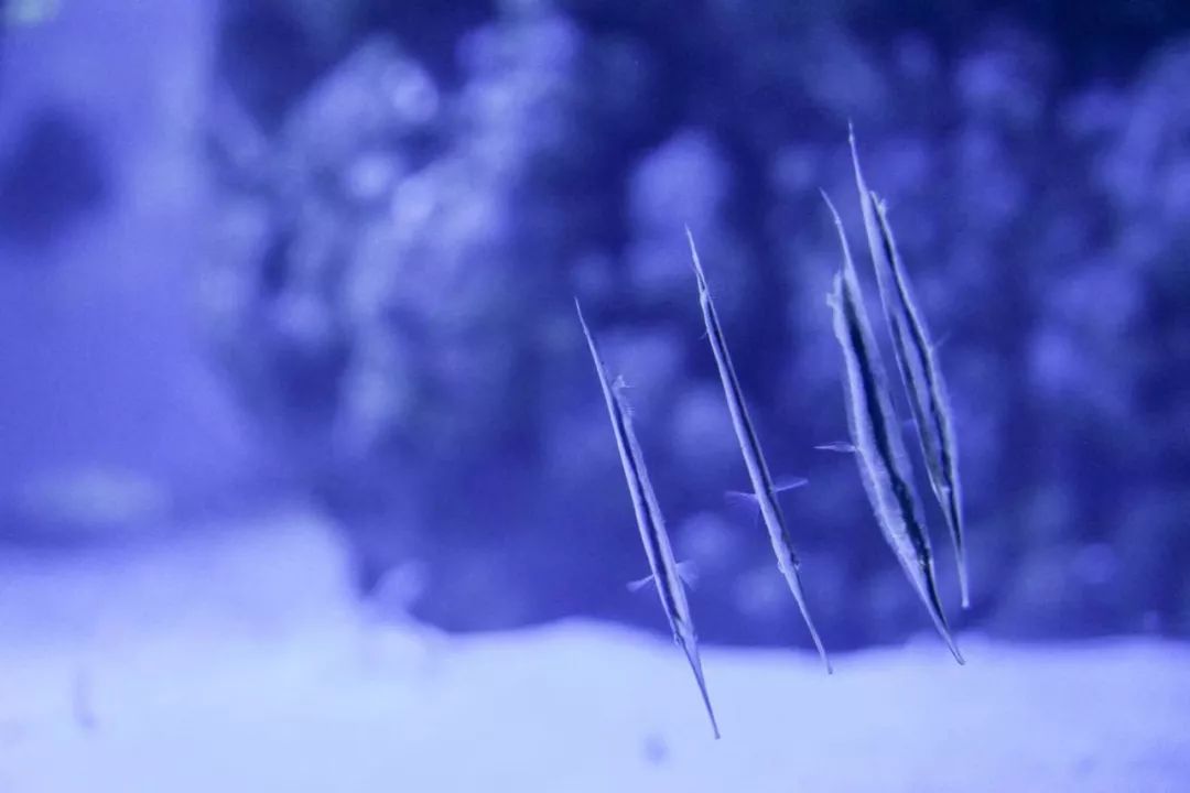 珠海哪里最值得去旅游,珠海哪里旅游比较值得去