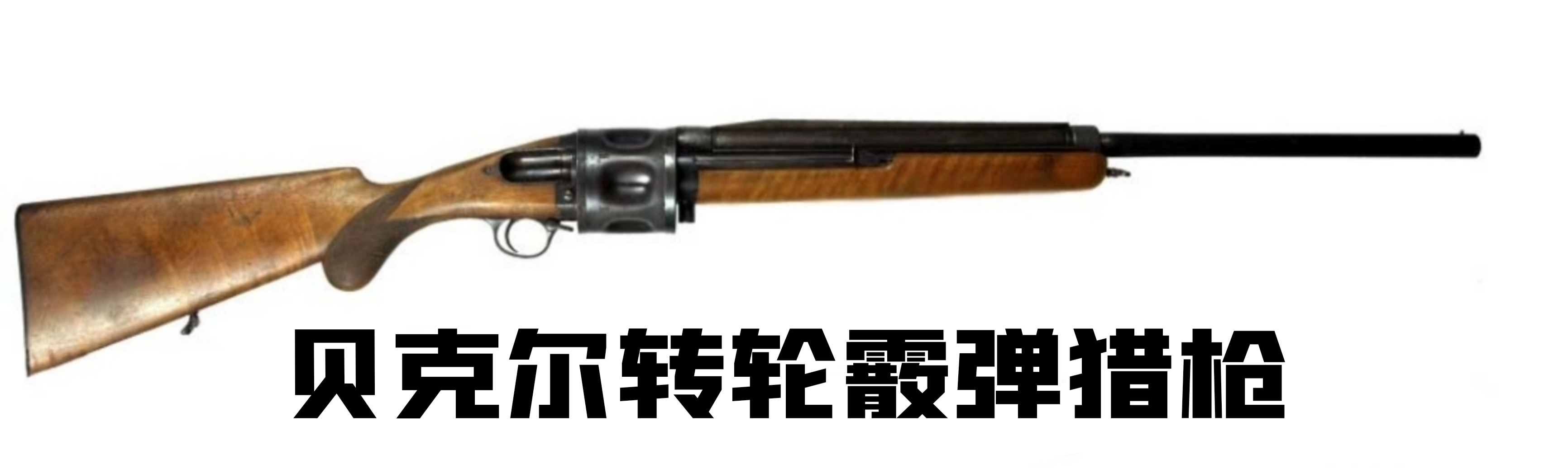 英国枪史图册全篇,德国枪图片