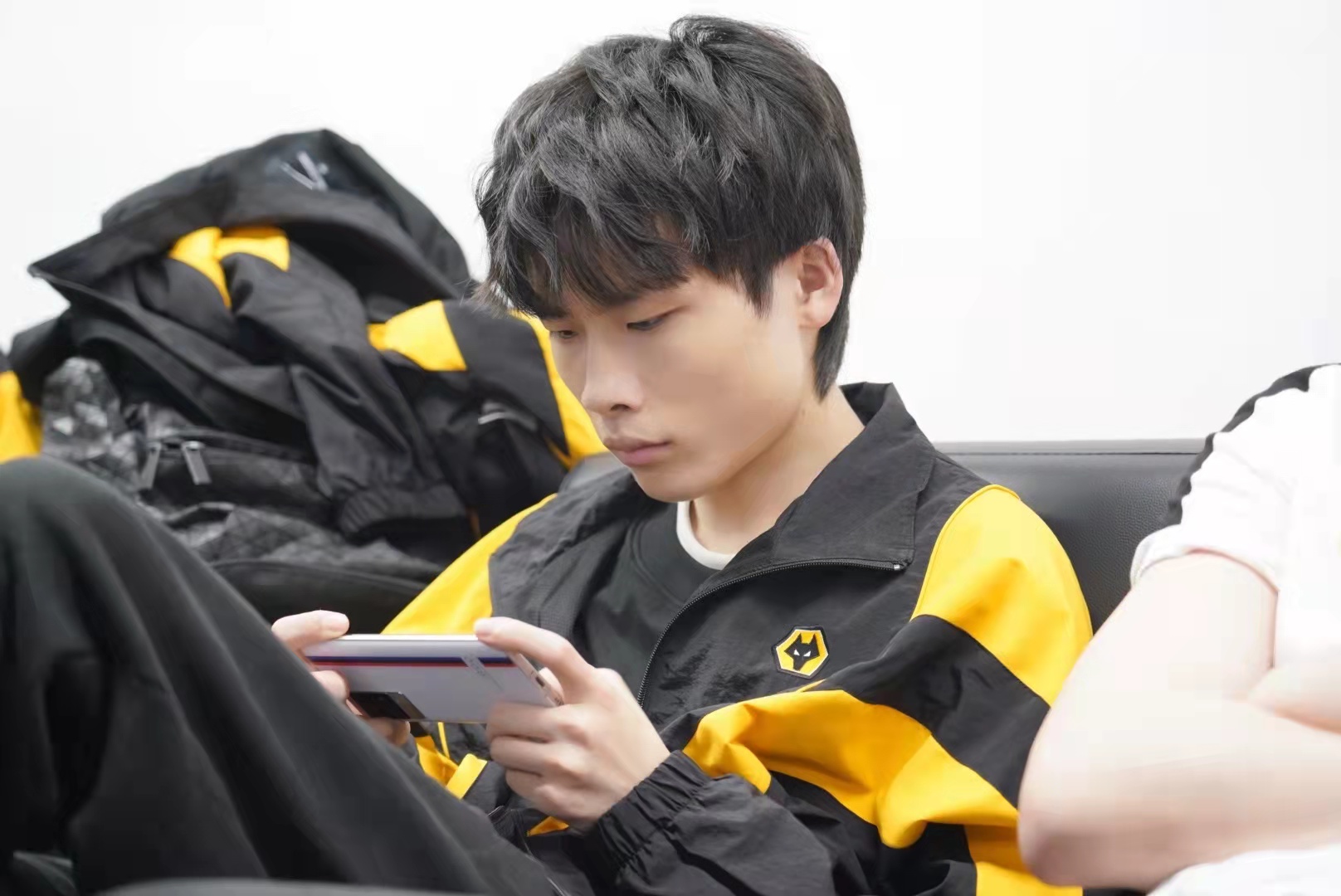 sk和狼队,sk谈狼队