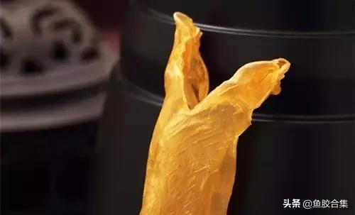 怎么挑选花胶最好,怎么挑选好的花胶呢