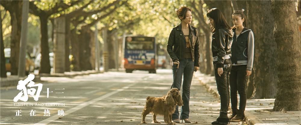 狗十三说脏话,狗十三到底有多可怕