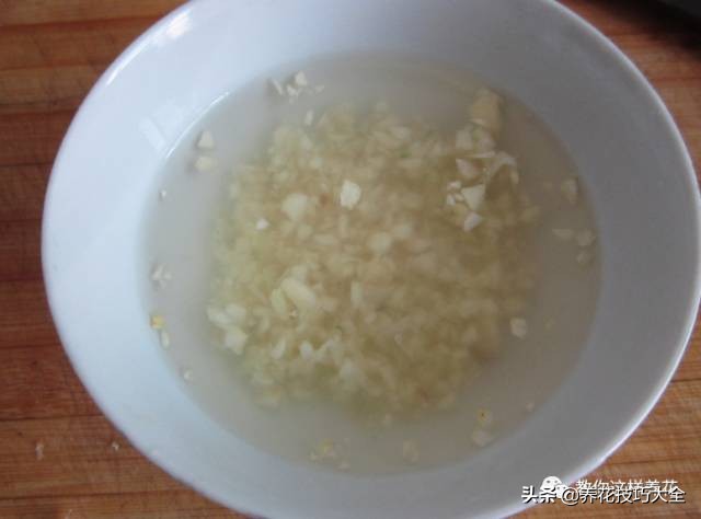 养花必备四种调料,养花最好的4种料