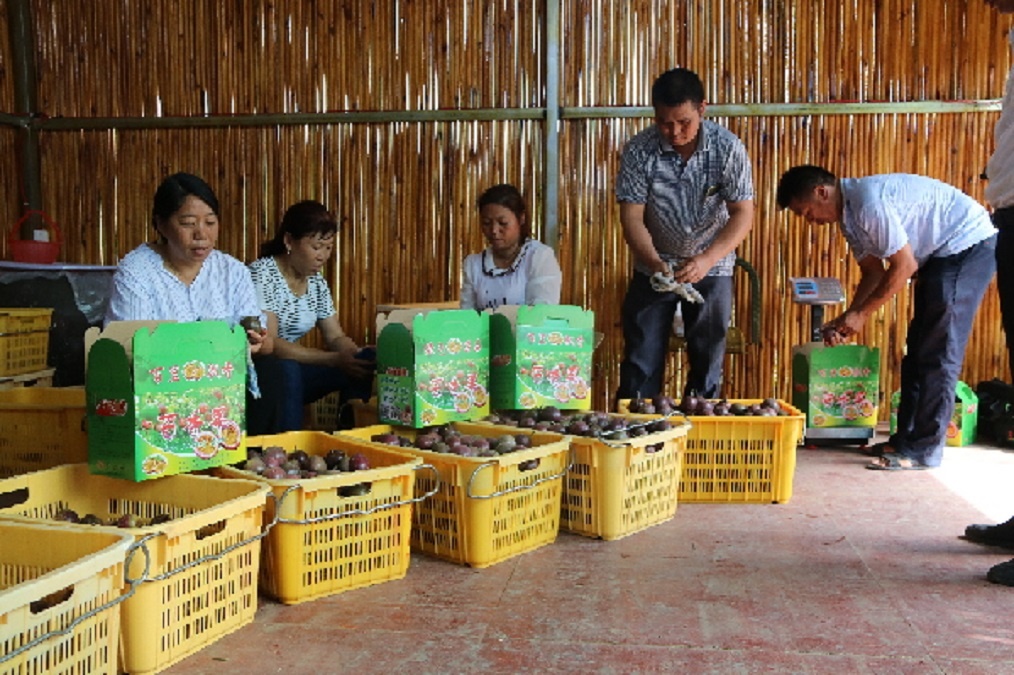 阿里巴巴产品一定要上到7星吗,阿里巴巴如何成为顶级销售