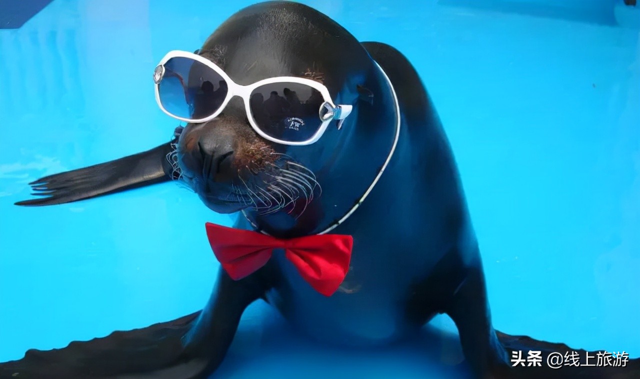 青岛三天旅游攻略详细,青岛旅游美食攻略最值得去的地