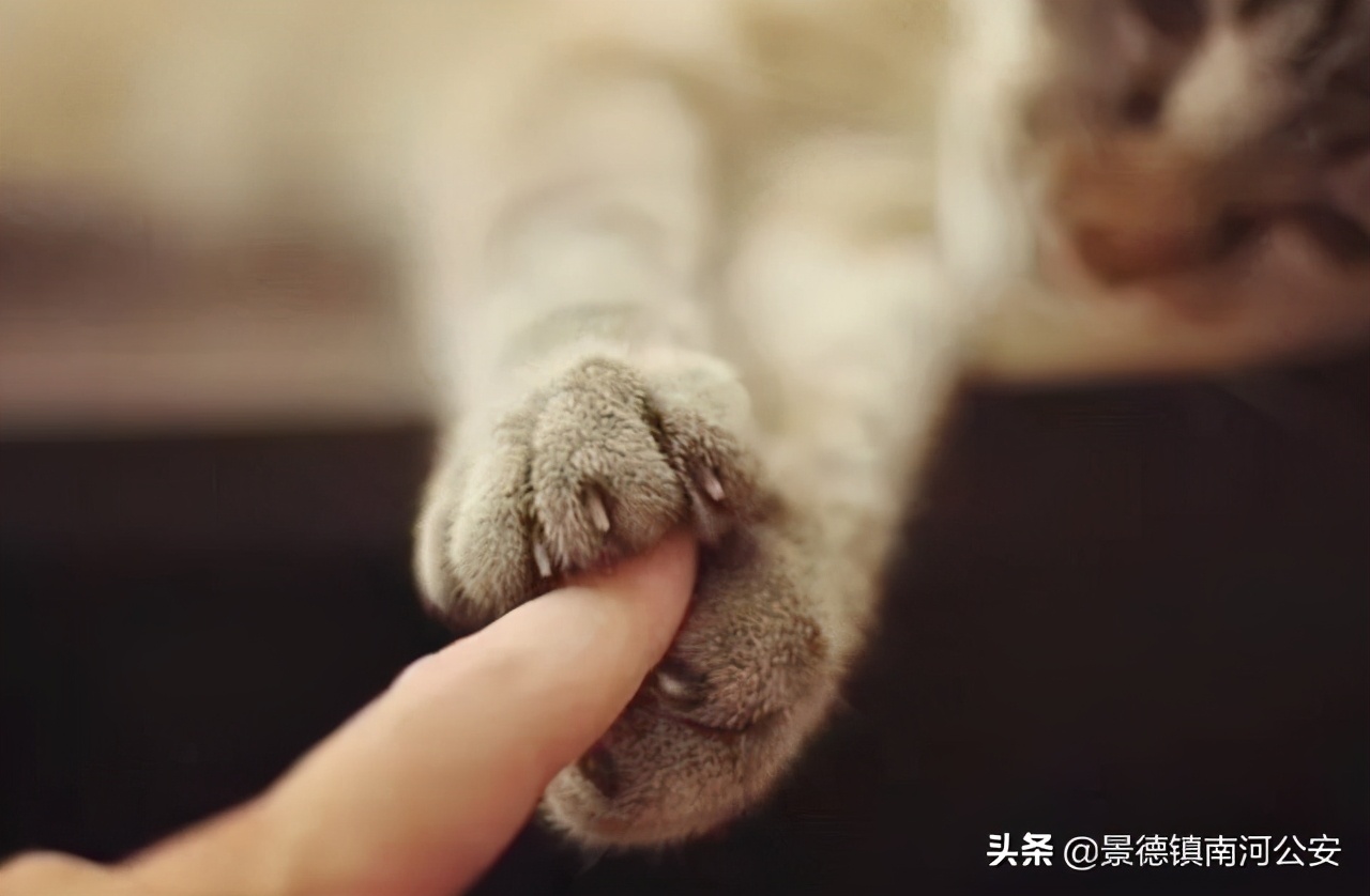 “割声带、截肢、电击,当爱变成我的噩梦”