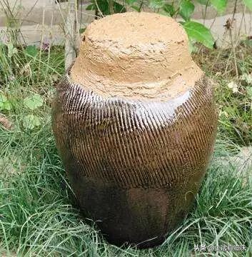 快过年了好想念家乡菜,快过年了想念家里的特产