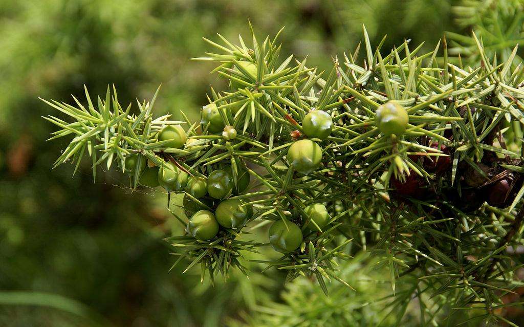 涂了隔离再补防晒行吗,遮瑕控油用隔离还是气垫