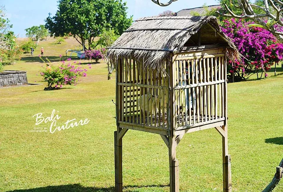 999玩转巴厘究竟嗨不嗨：香遇巴厘，南太平洋的风与海