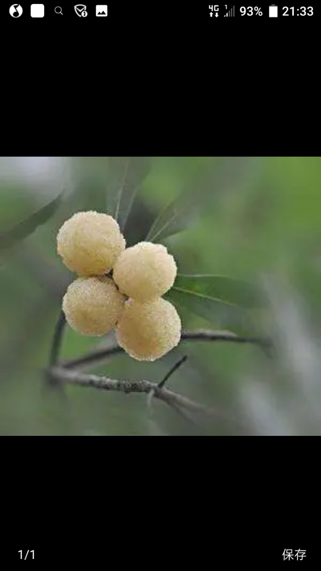 戒烟五部曲解析,戒烟完全版