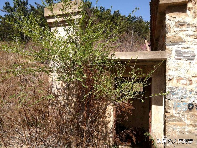 当年的阵地不在了，但海岸炮兵心中的军魂仍在