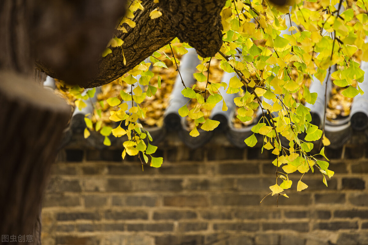 了凡四训七句箴言知命改命不难,除了了凡四训还有什么改命的故事