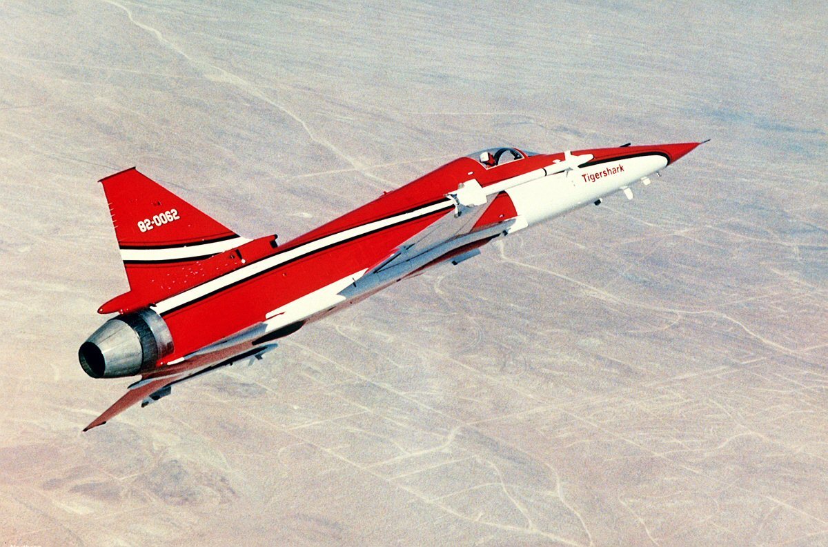 虎鲨悲剧,极富悲剧色彩的虎鲸