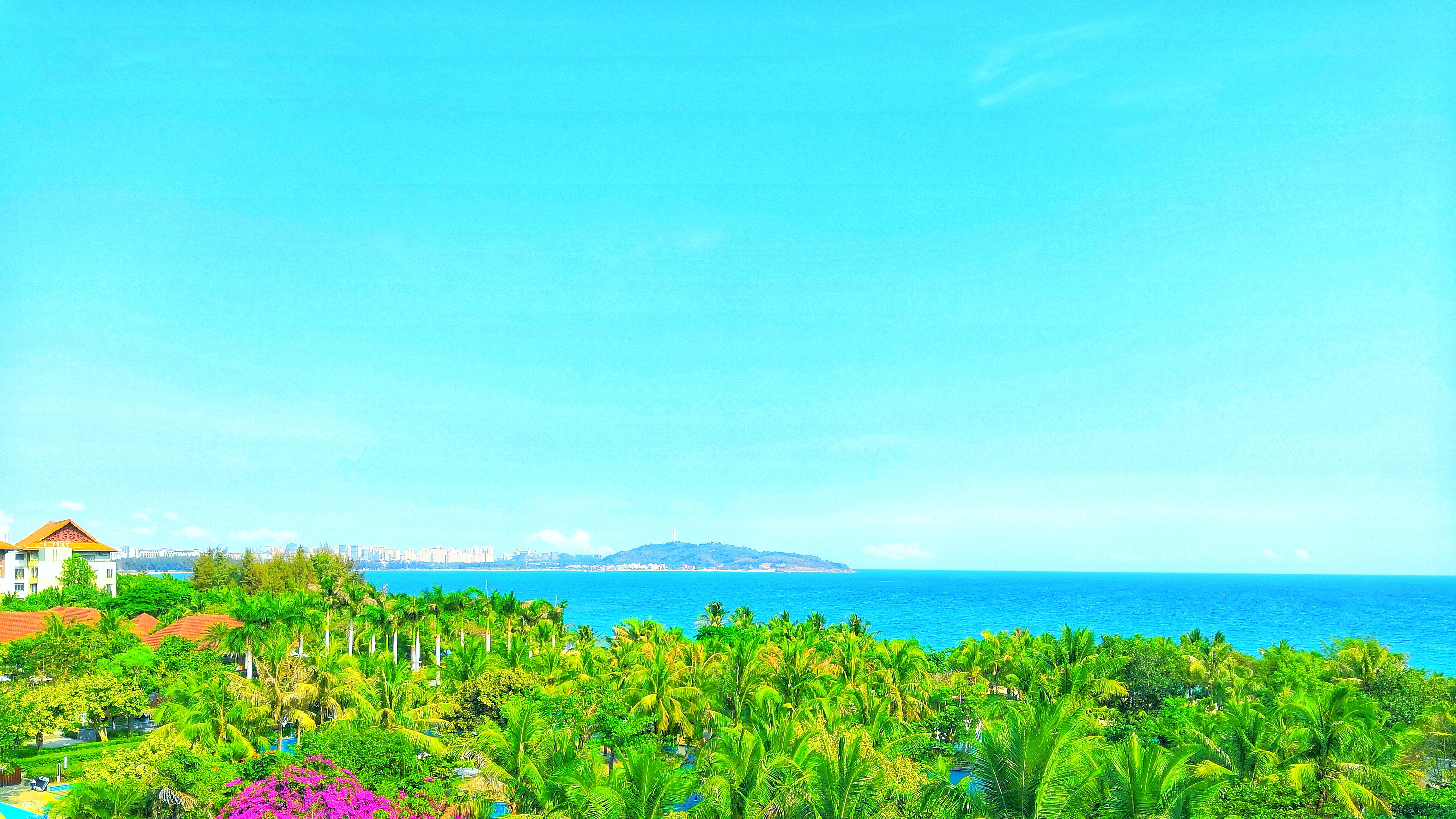 都是网红惹的祸,都是网红惹的祸完整版