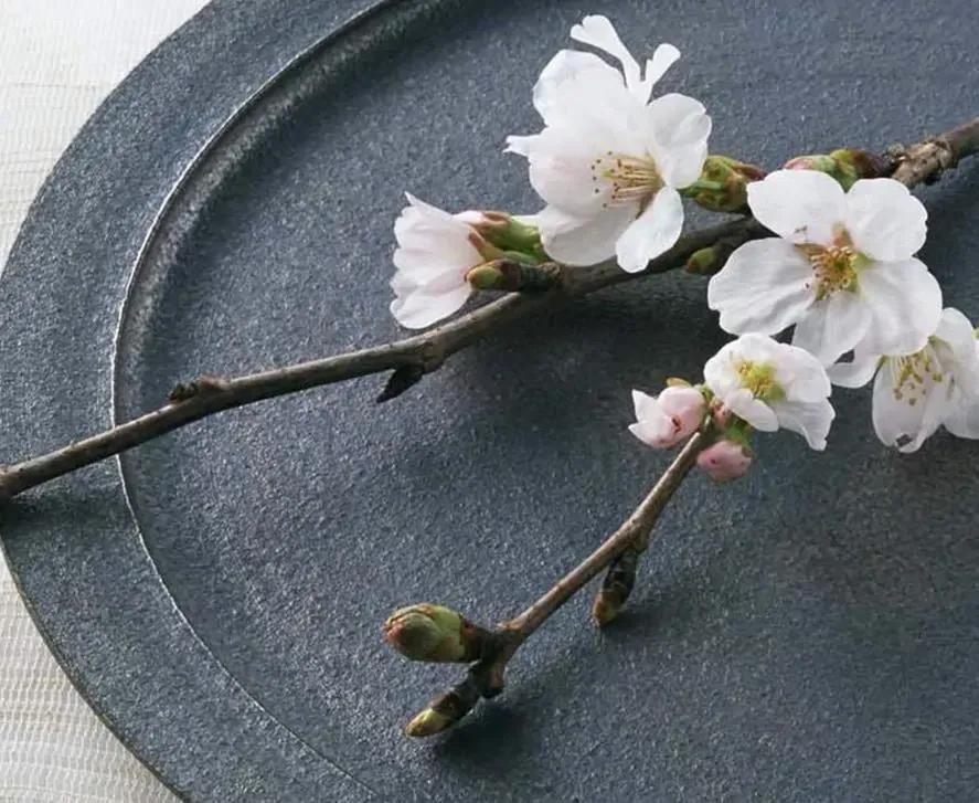 《什么是人生》,什么是人生什么是人性