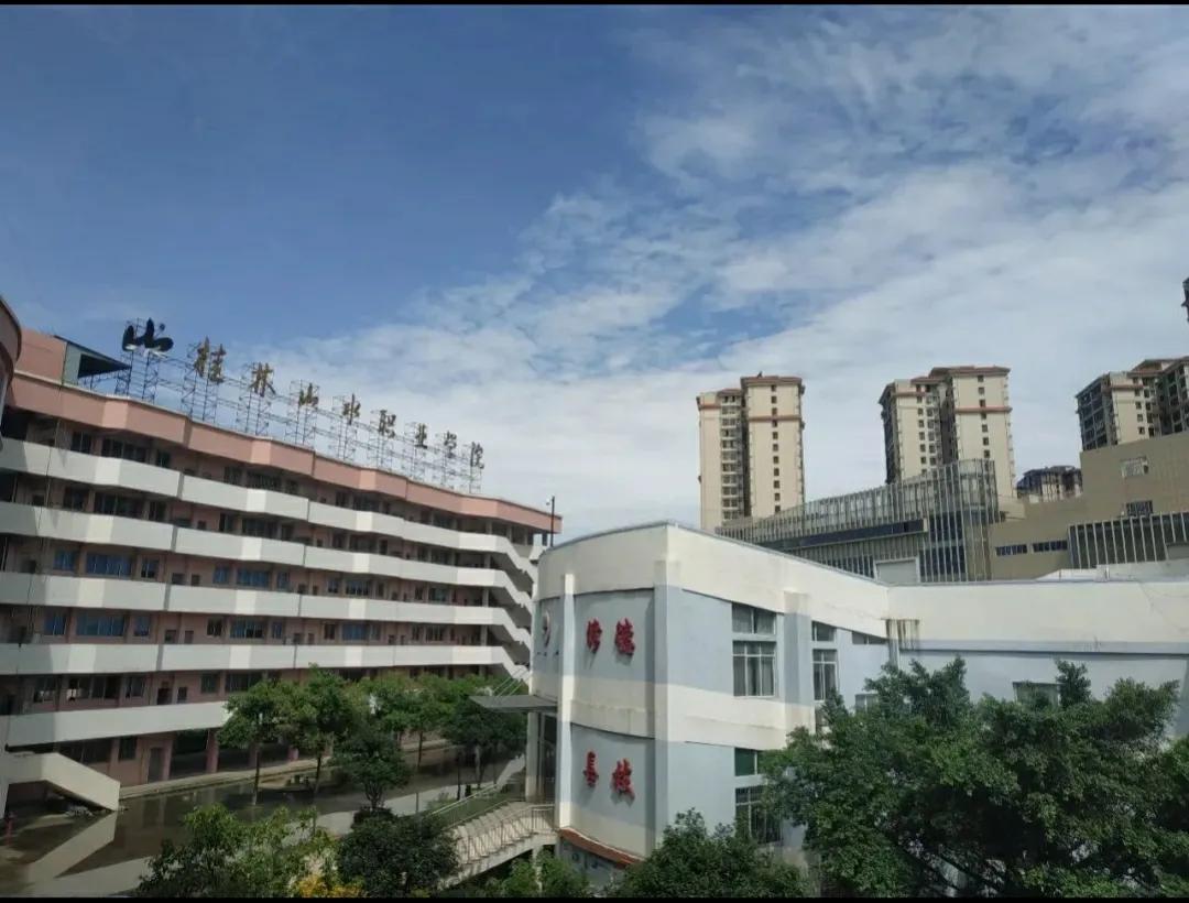 我眼中的桂林山水,我眼里的桂林山水职业学院