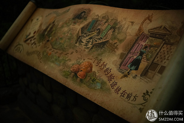 哪个时候最适合去迪士尼,第一次去迪士尼最新攻略