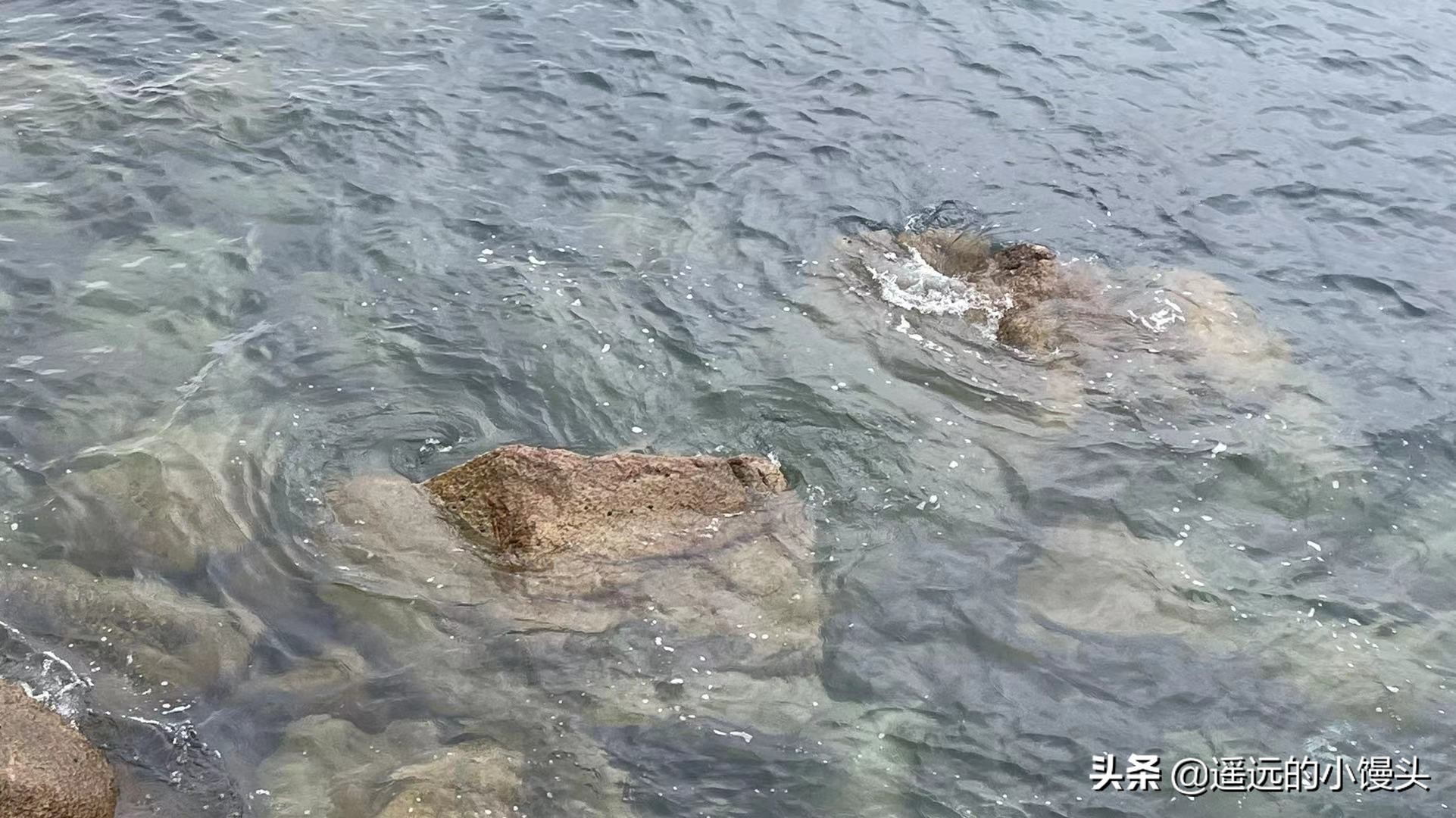 去深圳旅游攻略七天,一个人去深圳玩七天攻略