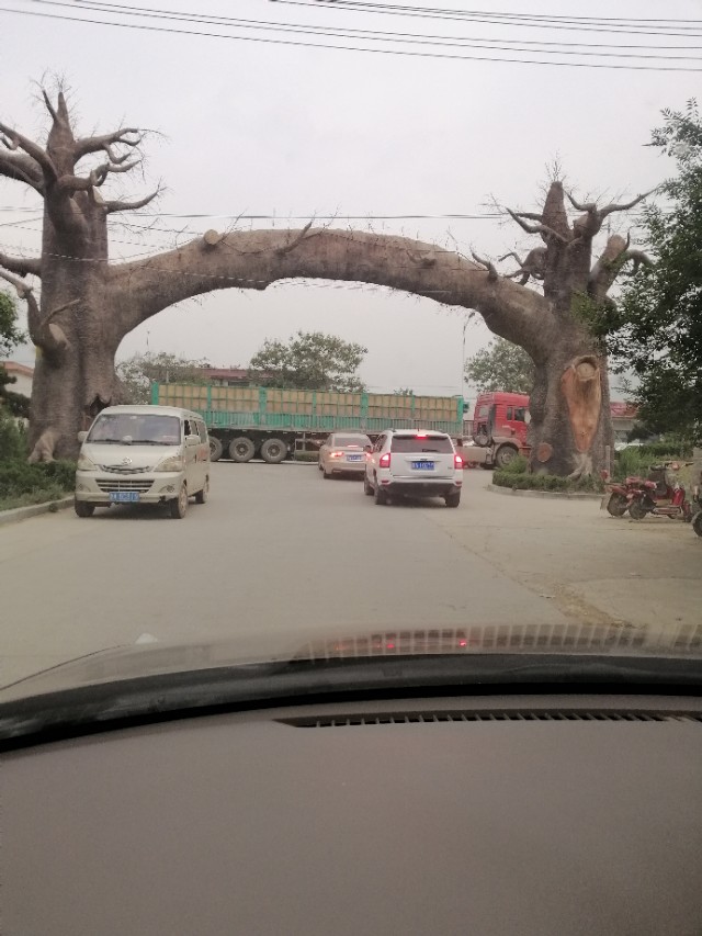 $.97.樱桃时节赴龙潭