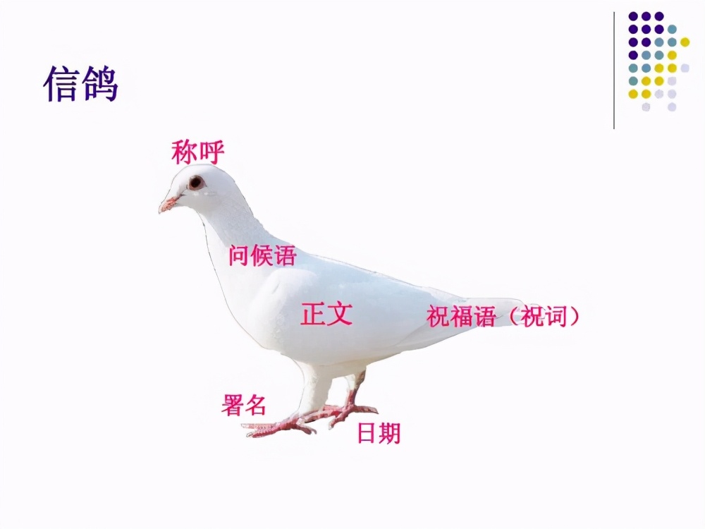 优秀作文四年级写给谁的一封信,写书信作文四年级给老师的一封信