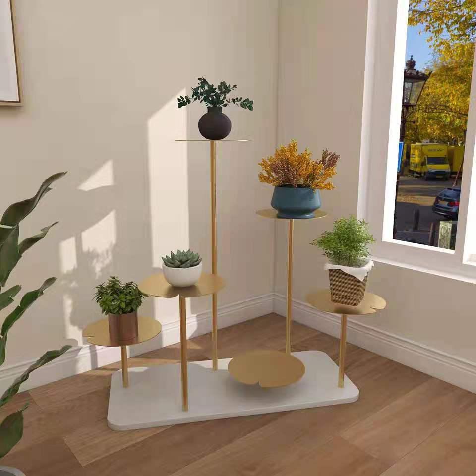 花盆养花技巧图解教程,花盆养花小技巧大揭秘