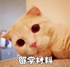 2021留学去哪个国家好,留学不用出国的学校好吗