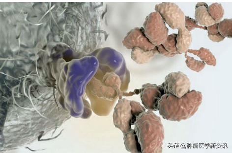 日本发明抗癌药免疫疗法,日本最新免疫治疗癌细胞