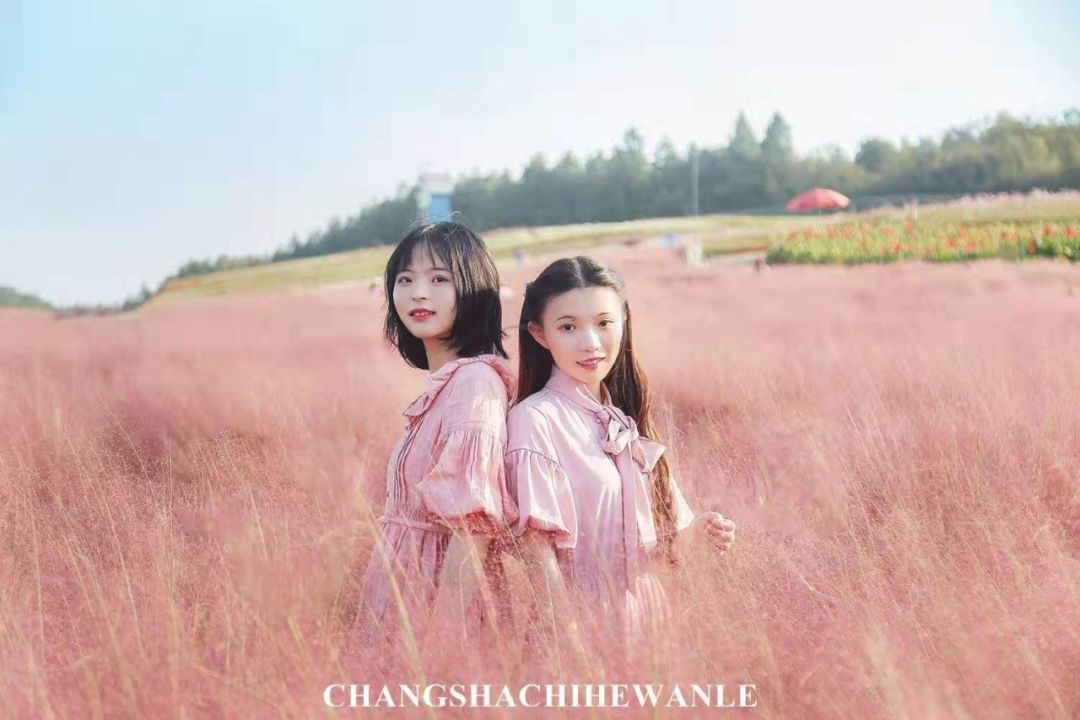 秋天的沙湖美不胜收,洋沙湖旅游