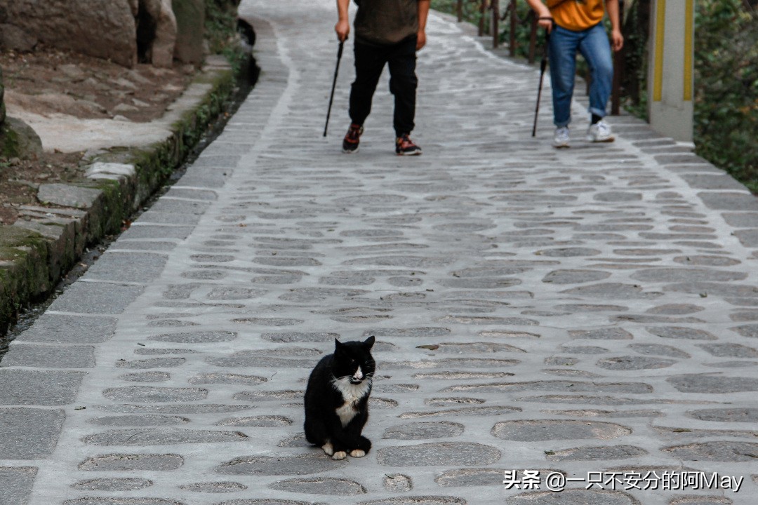 为什么爬华山都是夜爬,华山自古一条道很有必要爬吗