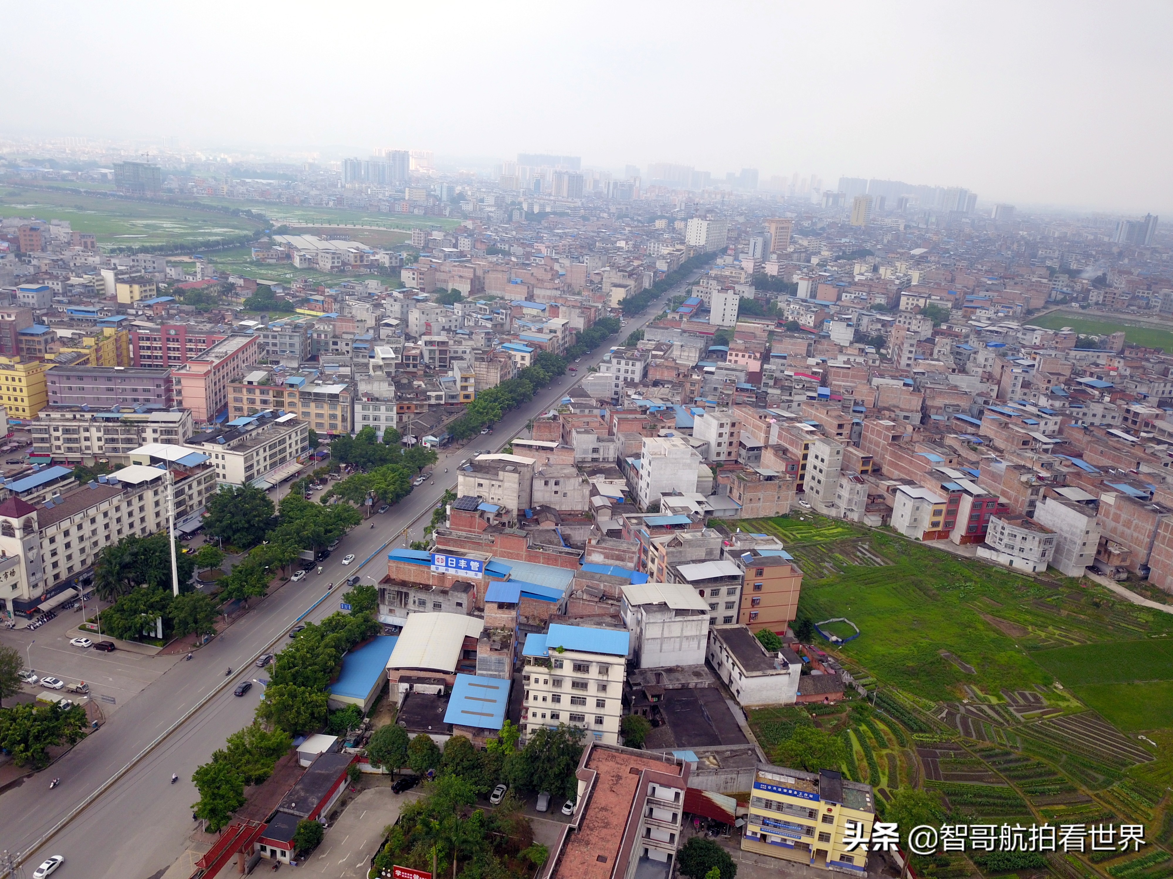 广西宾阳炮龙乡视频,宾阳炮龙之乡新闻